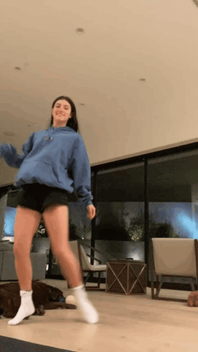 Woman Dancing In Living Room With Dog GIF