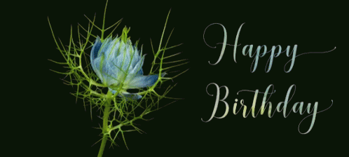 Woman Dancing On Stage Happy Birthday Mike GIF