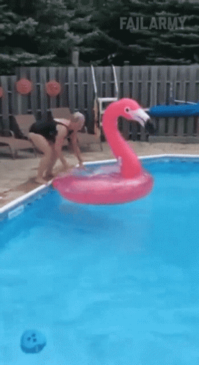 Woman Diving Into Pool With Pink Flamingo GIF