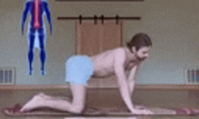 Woman Doing Yoga Pose On Mat In Gym GIF