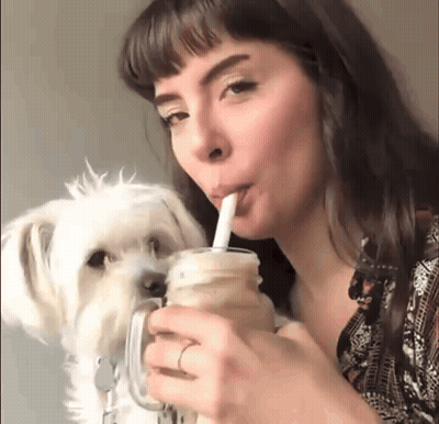 Woman Drinking From Mason Jar Next To White Dog GIF