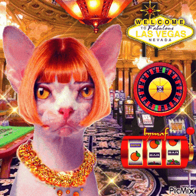 Woman Drinking On Beach Chair Vegas Bitches GIF