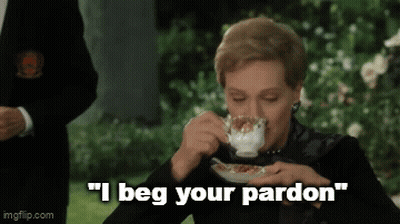 Woman Drinking Tea Saying I Beg Your Pardon GIF
