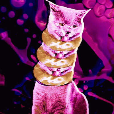 Woman Eating Bagel We Converted Another One GIF