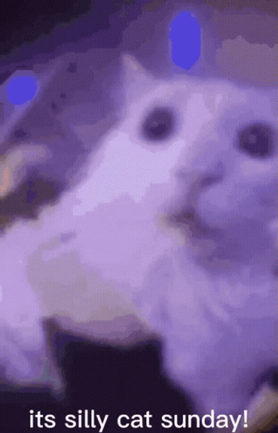 Woman Eating Food With Chopsticks GIF