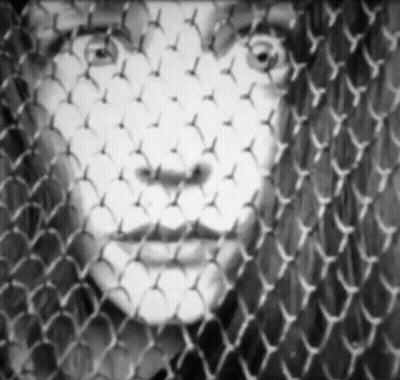 Woman Face Through Chain Link Fence GIF