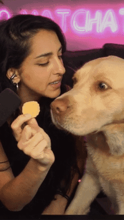 Woman Feeds Dog Snack In Front Of Catch Chat Neon Sign GIF