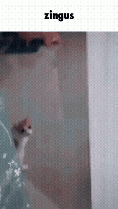 Woman Firefighter Saying We're In The Middle Of An Actual Emergency GIF