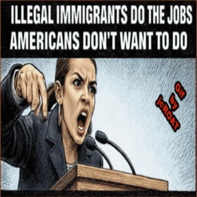 Woman Giving Speech About Illegal Immigrants Doing Jobs Americans Don't Want GIF
