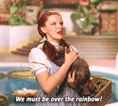 Woman Gray Dress Cat Saying We Must Be Over The Rainbow GIF
