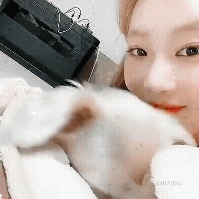 Woman Holding And Looking At Small White Dog GIF