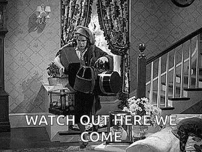 Woman Holding Bag And Dog GIF