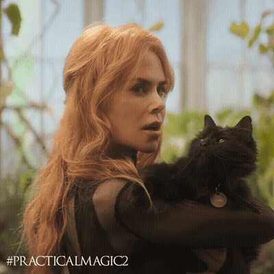 Woman Holding Black Cat #PracticalMagic2 GIF