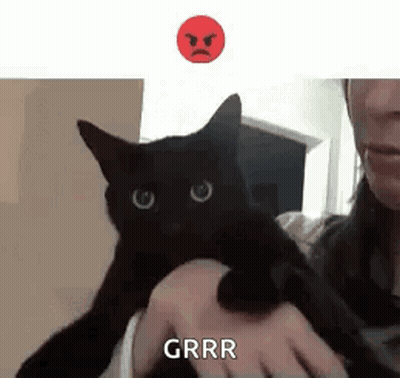 Woman Holding Black Cat With Angry Face Behind GIF