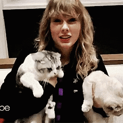 Woman Holding Cat And Puppy GIF