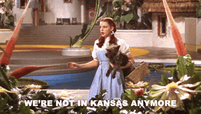 Woman Holding Cat Saying We're Not In Kansas Anymore GIF