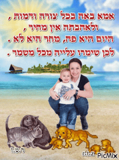 Woman Holding Child On Beach With Cats And Puppies GIF