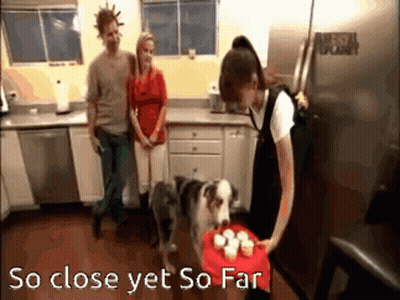 Woman Holding Cupcakes So Close Yet So Far GIF