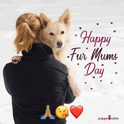 Woman Holding Dog Happy Fur Mums Day GIF