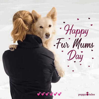 Woman Holding Dog Happy Fur Mums Day GIF