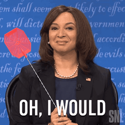 Woman Holding Fly Swatter Saying Oh I Would SNL GIF