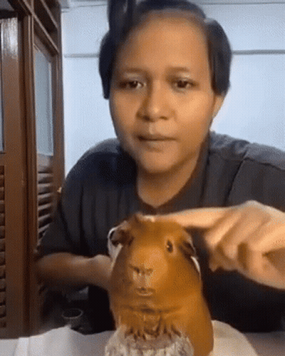 Woman Holding Guinea Pig GIF