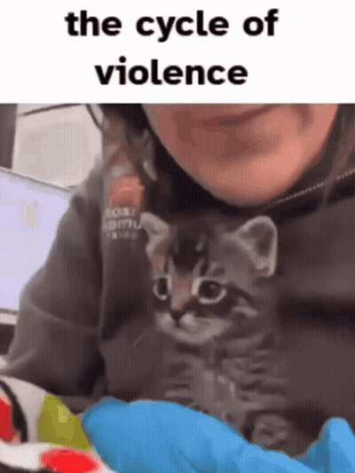 Woman Holding Kitten Saying The Cycle Of Violence GIF