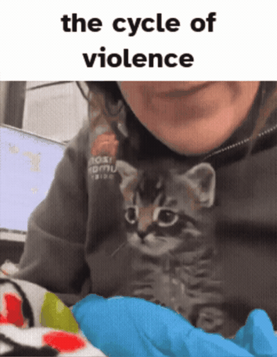 Woman Holding Kitten The Cycle Of Violence GIF