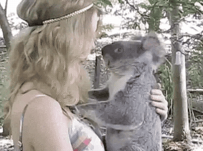 Woman Holding Koala Bear In Forest GIF