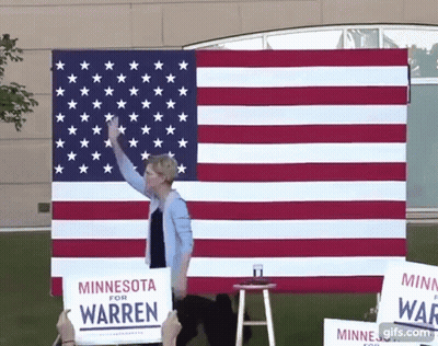 Woman Holding Minnesota For Warren Sign In Front Of American Flag GIF