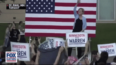 Woman Holding Minnesota For Warren Signs GIF