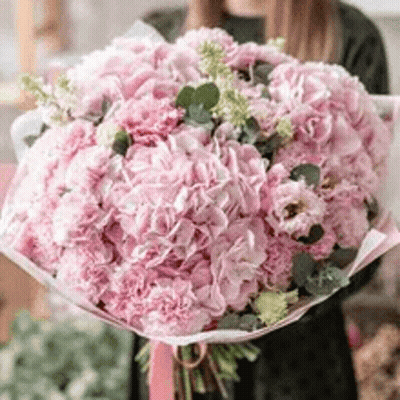 Woman Holding Pink Bouquet In Pink Paper GIF
