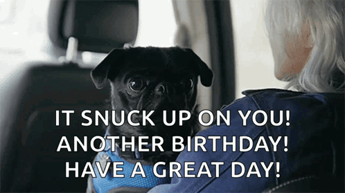Woman Holding Pug Saying It Snuck Up GIF
