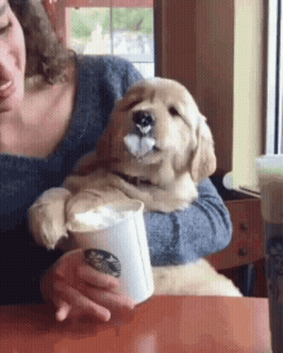Woman Holding Puppy Drinking Coffee