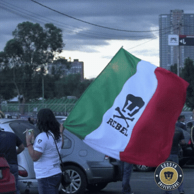 Woman Holding Rebel Flag In Front Of Car GIF