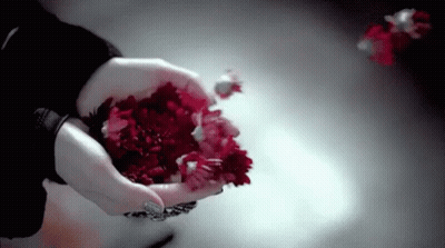Woman Holding Red Flowers GIF