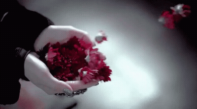 Woman Holding Red Flowers GIF