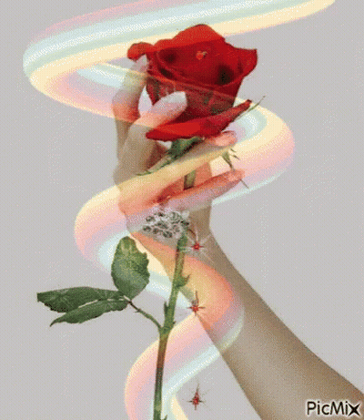 Woman Holding Red Rose With Rainbow Swirl GIF