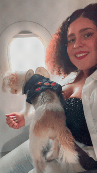 Woman Holding Small Dog Smiling GIF