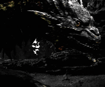 Woman Holding Sword In Front Of Monster Black And White GIF