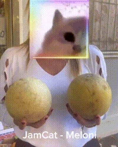 Woman Holding Two Melons in Front of Dog Saying Jamcat - Meloni