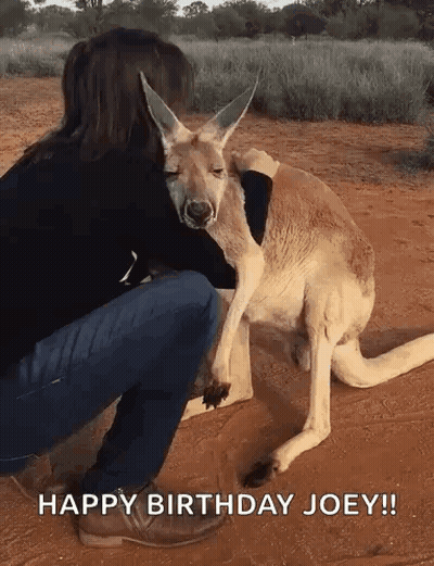 Woman Hugging Kangaroo Saying Happy Birthday Joey GIF