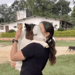 Woman Hugging Small Pony GIF