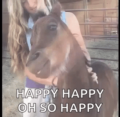 Woman Hugging Smiling Brown Horse In Fenced Area GIF
