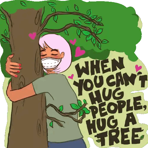 Woman Hugging Tree When You Can't Hug People Sticker
