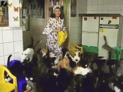 Woman In Bathrobe Surrounded By Cats In Kitchen GIF