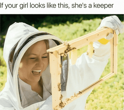 Woman In Bee Suit Holding Beehive Frame Saying If Your Girl Looks Like This GIF