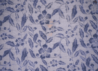 Woman In Bikini Blue White Patterned Background GIF