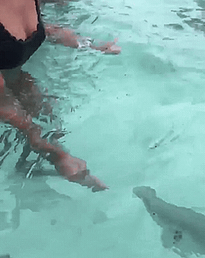 Woman In Black Bra Swimming In Pool GIF