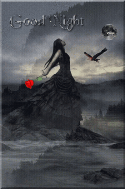 Woman in Black Dress Holding Red Rose Saying Good Night